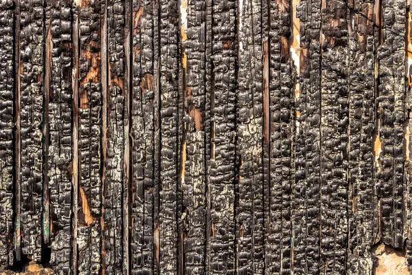Burnt wooden fence. The texture of the charred wooden boards.