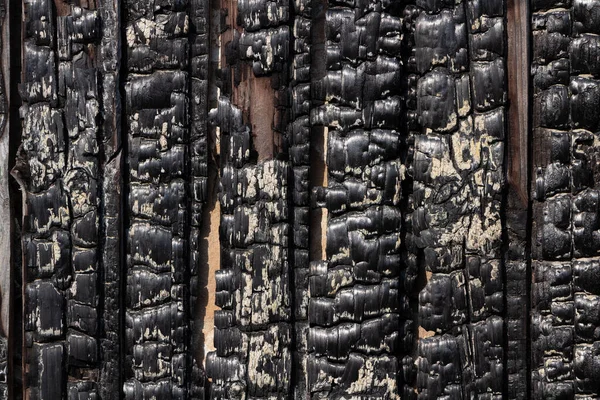 Burnt wooden fence. Texture of the charred wooden boards.