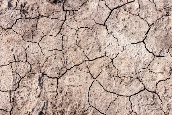 Dry ground with cracks. Global warming concept.