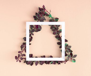 Pastel bej arkaplanda yeşil yapraklı dallardan ve kağıt çerçeveli yaratıcı geometrik düzen.