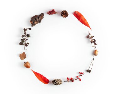 Koniler, meşe palamutları, yaprakları ve dalları beyaz bir arka planda daire şeklinde dizilmiş yaratıcı sonbahar yerleşimi. Sonbaharın minimalist tarzda soyut görüşü.