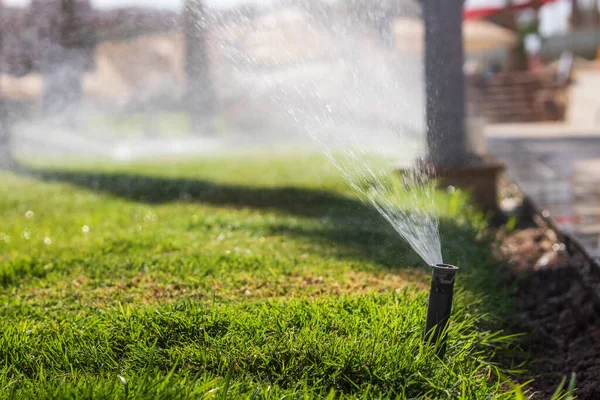Sprinkler watering the grass on the lawn. Water irrigation system. Automatic lawn watering.