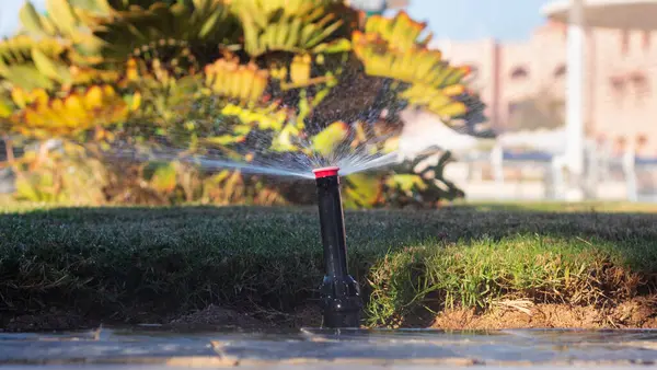 Automatic lawn watering. Sprinkler watering the grass. Water irrigation system.