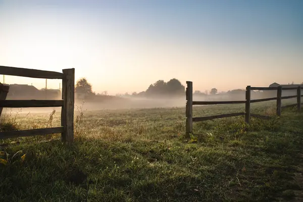 Morning landscape at sunrise. A field with green grass is covered with fog. In the foreground a wooden fence