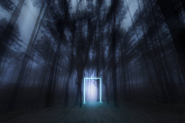 Мистический лес. Светящийся неоновый портал. Неоновое свечение. Мрачный осенний лес. Туманное утро в лесу. Таинственный лес фей.
