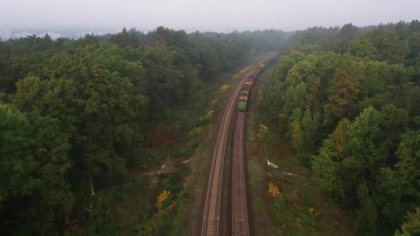 乘载着空车的货运列车在森林中的铁路上行驶 空中景观 — 图库视频影像