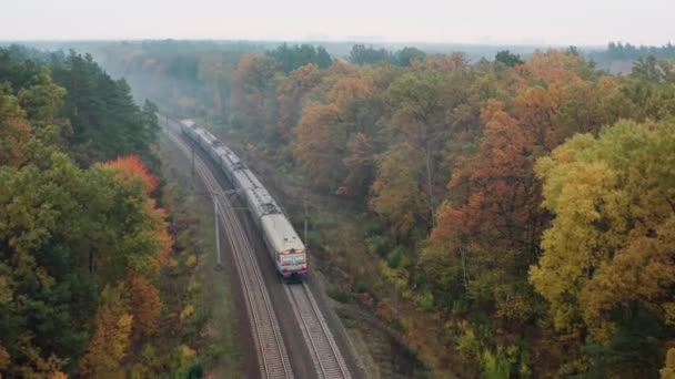 乘火车沿着秋天的森林在铁路上飞驰而过 — 图库视频影像