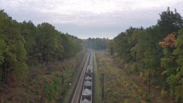 从空中看装有瓦砾的货车乘火车在森林里乘火车 — 图库视频影像