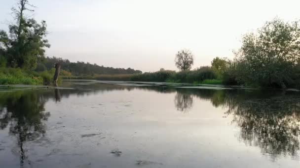 Petit Barrage Sur Rivière Avec Eau Qui Coule Rapidement — Video