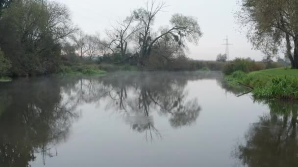 朝霧で川の表面を越える低飛行 — ストック動画