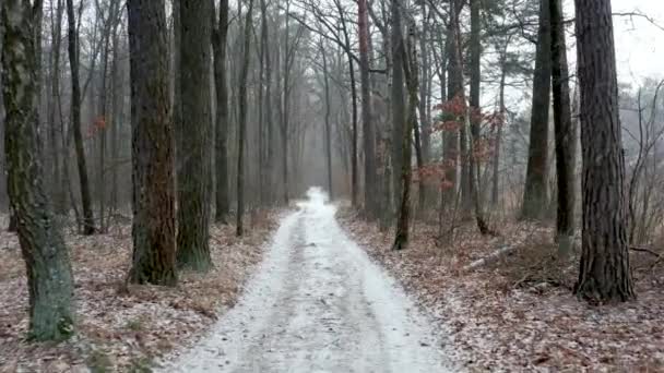 겨울에 떨어지는 산책로에 — 비디오