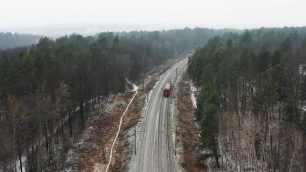 Аерофотозйомка Вантажного Поїзда Зимовому Лісі Падаючим Снігом — стокове відео