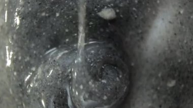 Sivilceleri ve siyah noktaları çıkarmak için siyah makyaj maskesi..