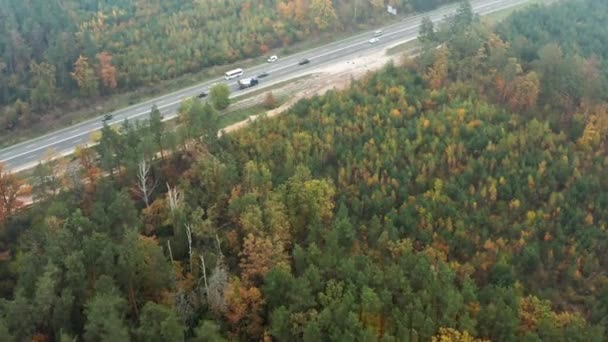 Widok Lotu Ptaka Autostradę Jesiennym Lesie Dużym Natężeniem Ruchu Dron — Wideo stockowe