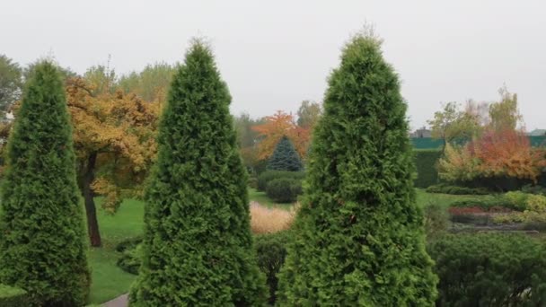 Latanie Nad Małym Stawem Pięknym Jesiennym Parku — Wideo stockowe