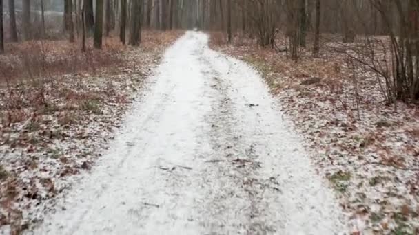 Μονοπάτι Στο Χειμερινό Δάσος Χιόνι Που Πέφτει Pov Πυροβολισμό Πόδια — Αρχείο Βίντεο