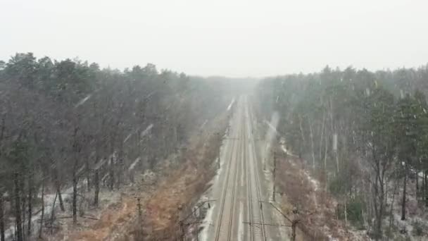 Lege Spoorlijn Het Bos Tijdens Sneeuwval Een Drone Die Het — Stockvideo
