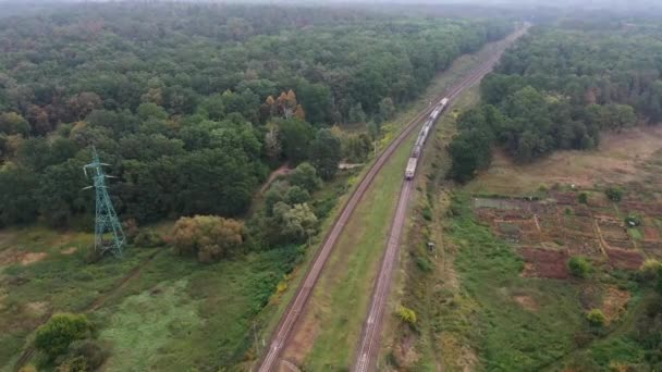 Tren Suburbano Viaja Través Del Bosque Verde — Vídeos de Stock