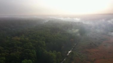Güneş doğarken sisli ormanın üzerinde uçan drone..