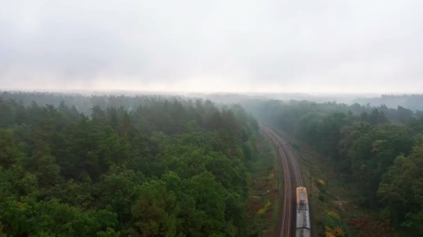 Ηλεκτρικό Τρένο Που Ταξιδεύει Σιδηροδρομικώς Ομιχλώδες Δάσος Αεροφωτογραφία Τηλεκατευθυνόμενου — Αρχείο Βίντεο