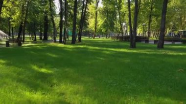 Güneşli bir yaz gününde sulama sistemi olan bir parkta yeşil çimen.