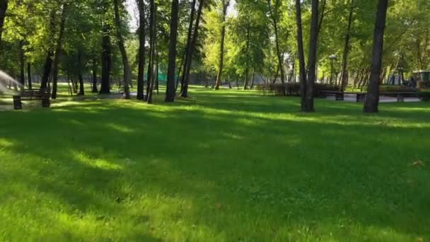 阳光明媚的夏日 公园里有灌溉系统的绿色草坪 — 图库视频影像