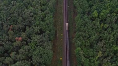 Ormandan şehre giden banliyö treninin havadan görünüşü.