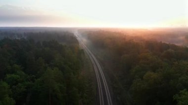 Elektrikli yolcu treni, hava manzarasından gün doğumunda sisli ormanda demiryolu ile seyahat eder..