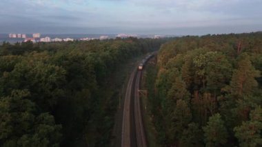 Banliyö treni sabahın erken saatlerinde ormandan geçer. Hava görünümü.