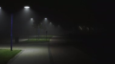 Sisli bir şehir parkında, gece sokak lambalarıyla dolu bir sokakta. Pürüzsüz İHA uçuşu.