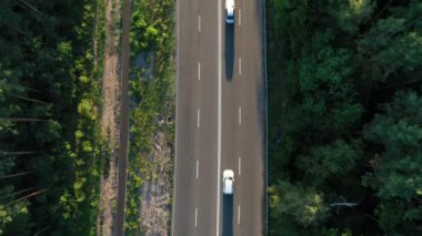 Ormandan geçen arabaların hava görüntüsü. Ormanda otobandan geçen arabalar. Üst görünüm.