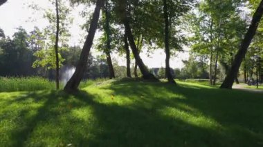 Parkta ağaçlı bir çeşme ve sabah yeşil çimenli küçük bir göl. Pürüzsüz İHA uçuşu.