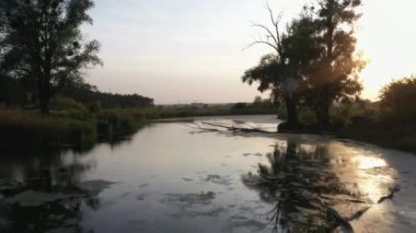 Gün batımında suda kurumuş ağaç dalları olan bir nehir. İyi uçuşlar. Drone görünümü.