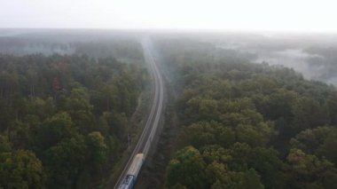 Güzel sisli bir ormanda demiryolu sabah erkenden geçen bir trenle. İnsansız hava aracından görüntüle.