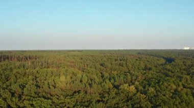 Sonbahar ormanında demiryolu. Arka planda görülen şehire giden demiryolu. Hava görünümü.