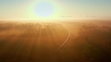 Yük treni, gün doğumunda sisli ormandan geçecek. Kargo treninin sisli ormandaki hava manzarası dramatik bir ışıkla.