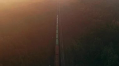 Yük treni, gün doğumunda sisli ormandan geçecek. Nakliye ve kargo teslimatı. Hava görünümü.