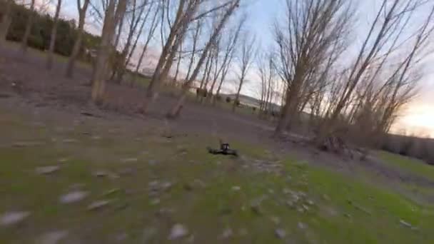 Fpv无人驾驶飞机在室外的冬季森林中飞行 — 图库视频影像