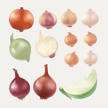 vektör suluboya soğan kümesi
