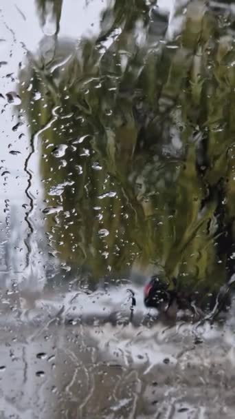Melted Snow Rain Drops Windshield Car Blurred Outdoor View Winter — Stock Video