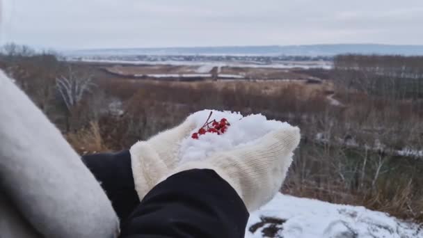 Detailní Pohled Ženu Rukavicích Držící Bílý Sníh Červenými Zralými Bobulemi — Stock video