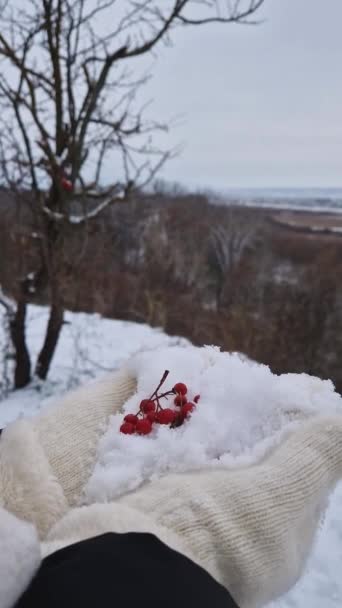 Widok Bliska Rękę Kobiety Rękawiczkach Trzymających Biały Śnieg Dojrzałymi Jagodami — Wideo stockowe