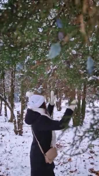 Kış Parkında Neşeli Genç Bir Kadın Thuja Ağacının Dallarını Sallıyor — Stok video