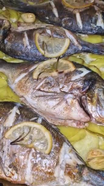 Sea Bream Fish Baked Tray Potatoes Garlic Lemon Rosemary Tasty — Stock Video