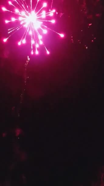 Fireworks Show Night Sky New Year Holiday Event Celebration — Stock videók
