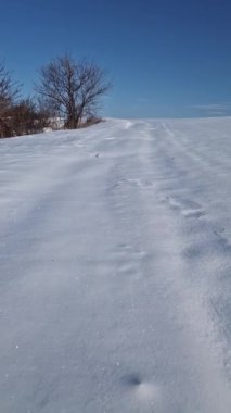 Ormanın yakınında karla kaplı güzel bir kış manzarası.
