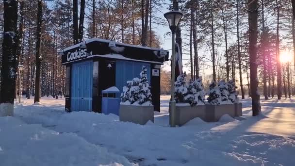 Ungheni Moldova Hazi Ran 2024 Kışın Parkında Kar Altında Sakin — Stok video