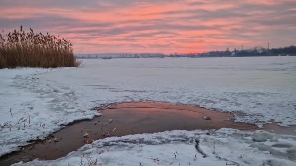 Puesta Sol Invierno Rosa Sobre Lago Congelado Día Nevado — Vídeos de Stock
