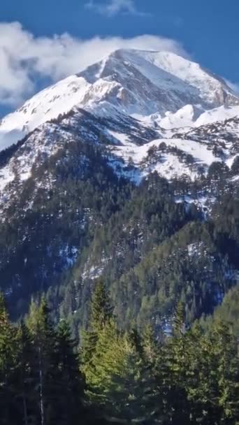 Majestuoso Pico Rocoso Cubierto Nieve Bosque Abeto Verde Primer Plano — Vídeos de Stock