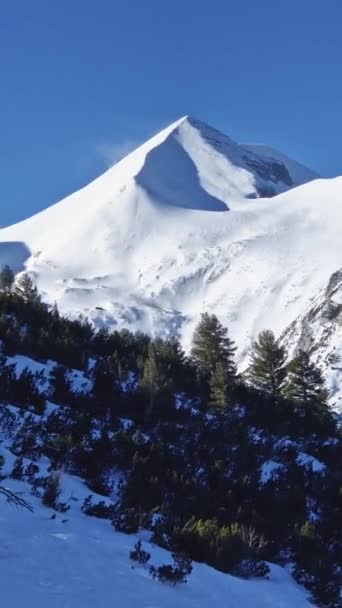 Majestoso Pico Montanha Rochosa Coberto Com Neve Floresta Abeto Verde — Vídeo de Stock